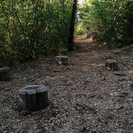 Poggio Al Vento Βίλα Manciano Εξωτερικό φωτογραφία
