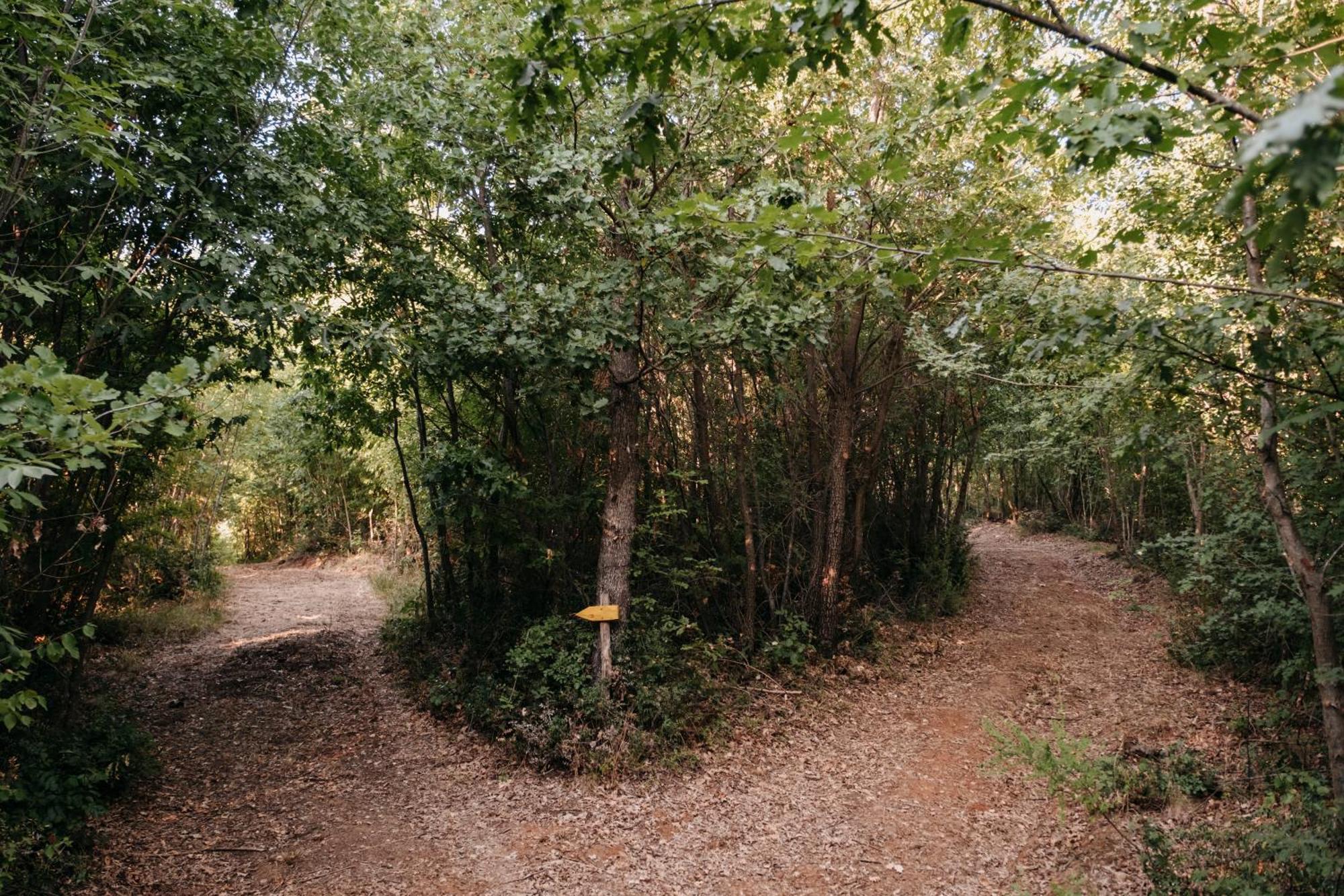 Poggio Al Vento Βίλα Manciano Εξωτερικό φωτογραφία