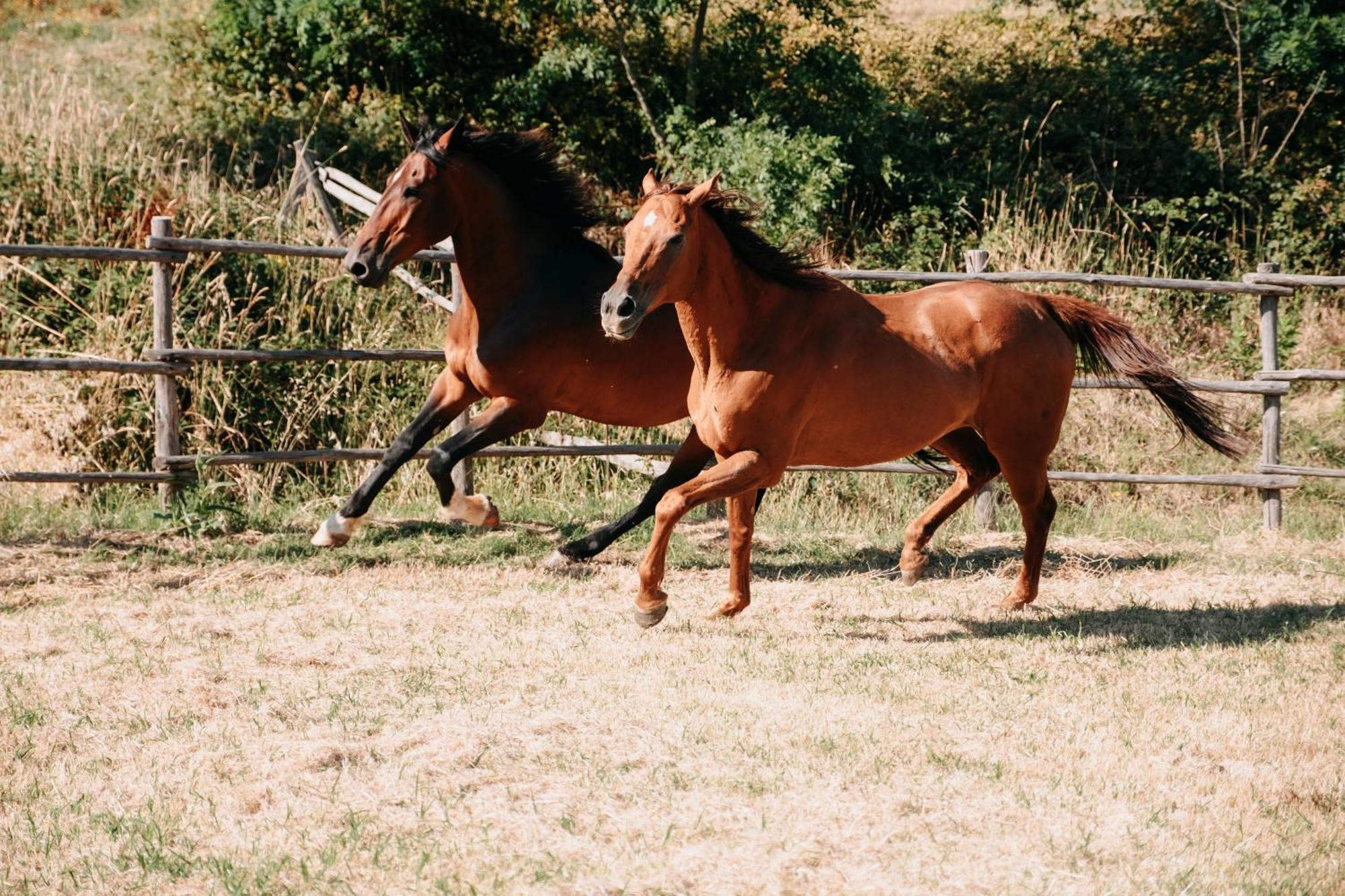 Poggio Al Vento Βίλα Manciano Εξωτερικό φωτογραφία