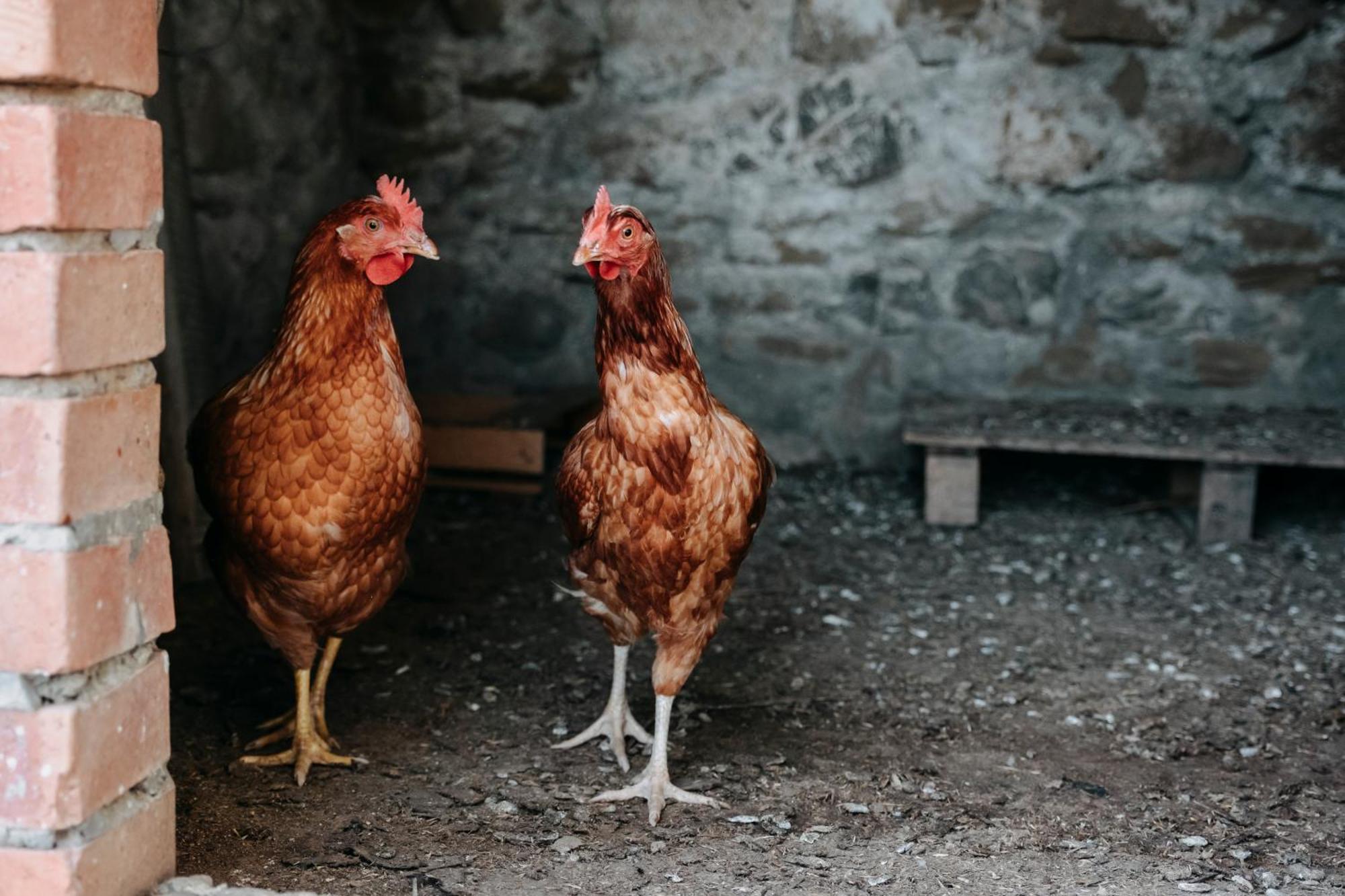 Poggio Al Vento Βίλα Manciano Εξωτερικό φωτογραφία