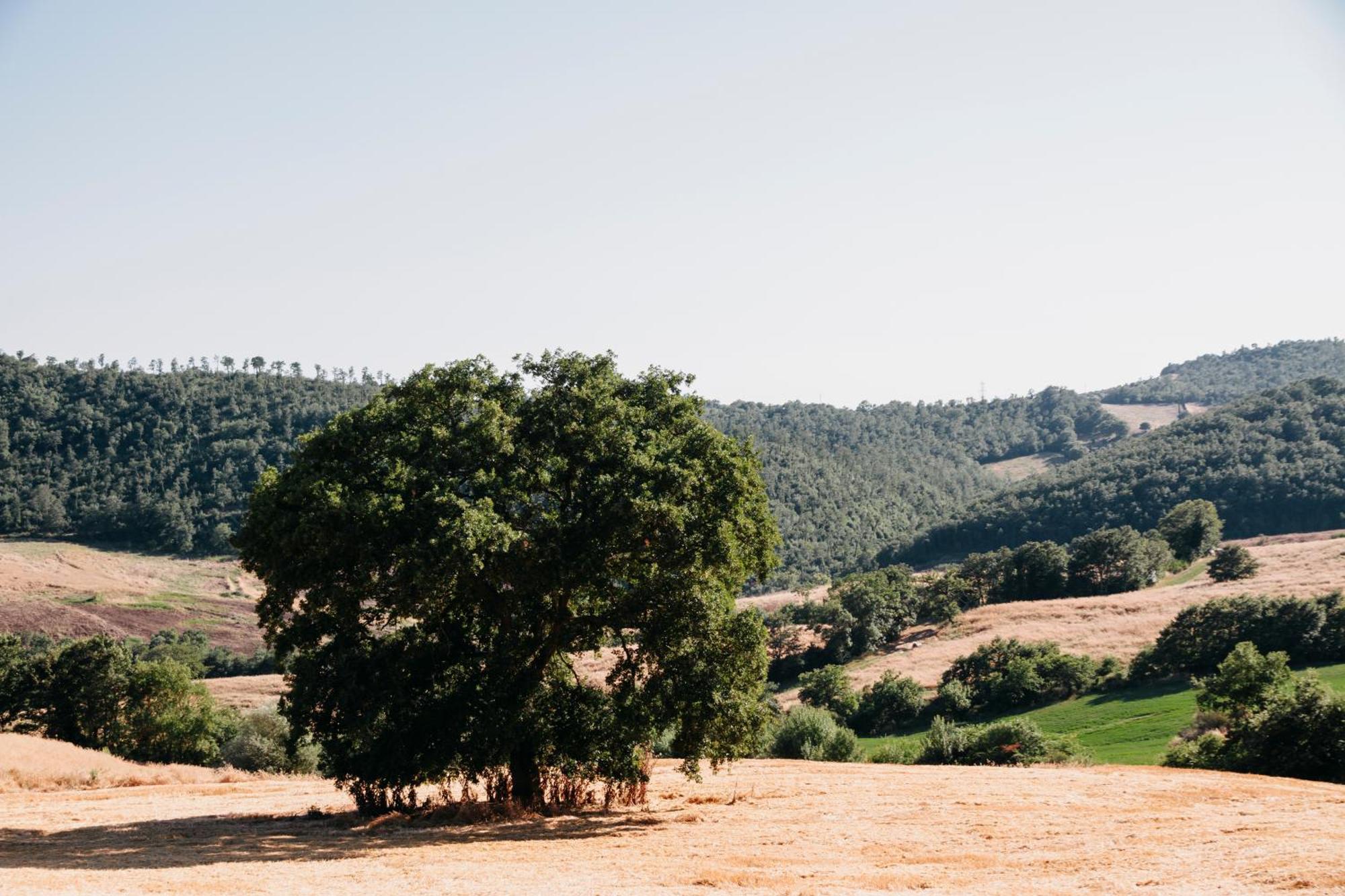 Poggio Al Vento Βίλα Manciano Εξωτερικό φωτογραφία